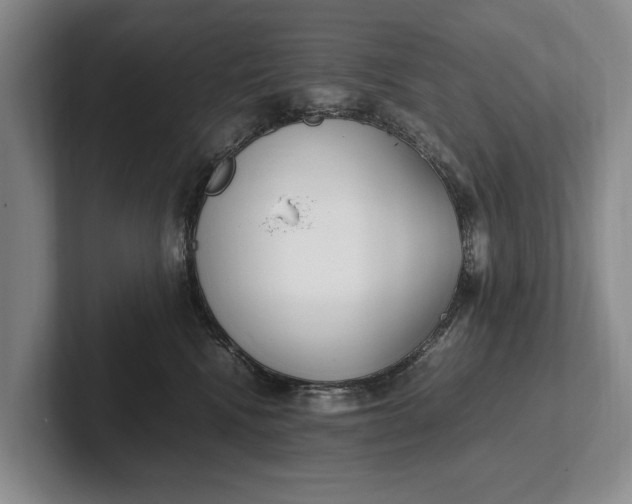 X0000102270472200808081444