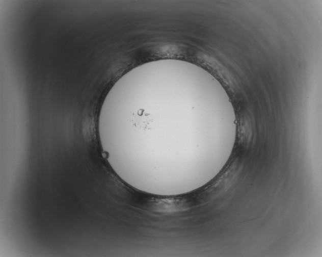 X0000102270473200808081444