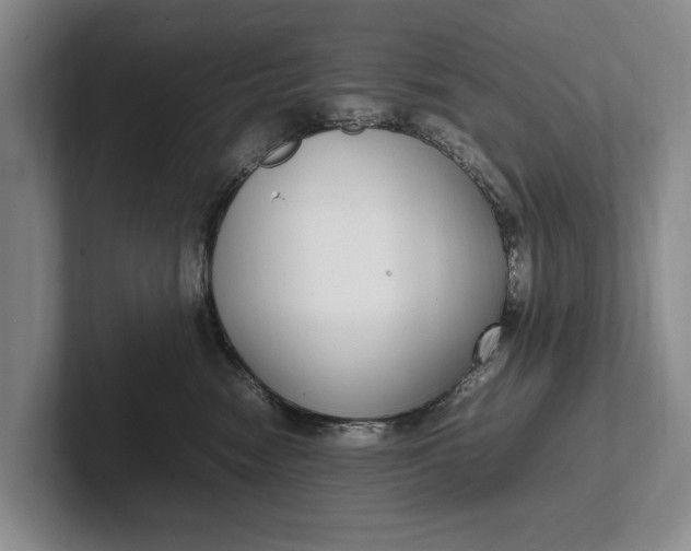 X0000102270474200808081444