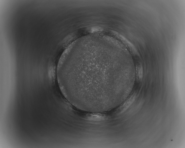 X0000102270475200808081444