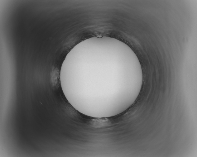 X0000102270480200808081445