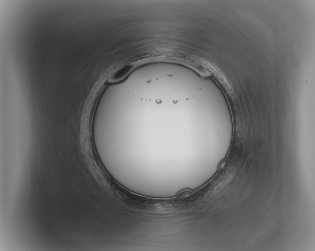 X0000102270481200808081444