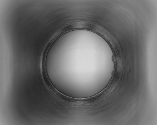 X0000102270482200808081444