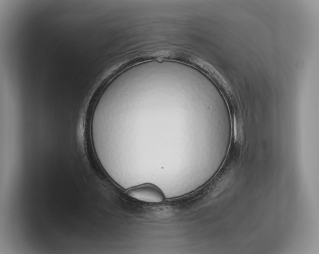 X0000102270483200808081444