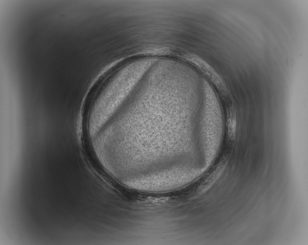 X0000102270484200808081444