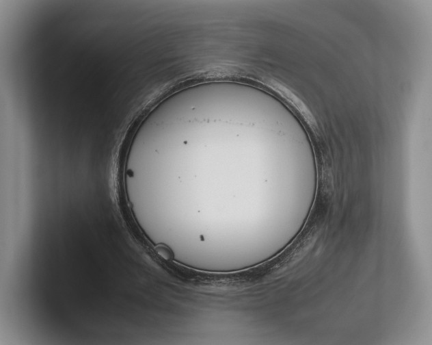 X0000102270485200808081444