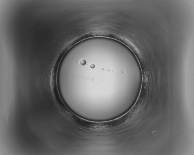 X0000102270487200808081444