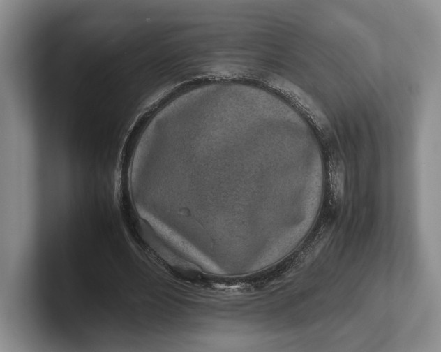 X0000102270488200808081444