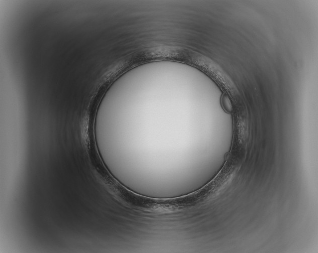 X0000102270490200808081444