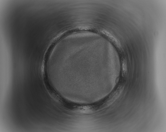 X0000102270492200808081444