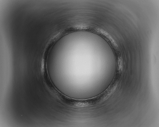 X0000102270494200808081444