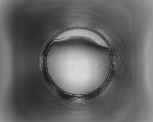 X0000102270495200808081444