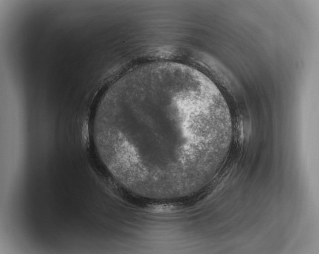 X0000102270500200808081444