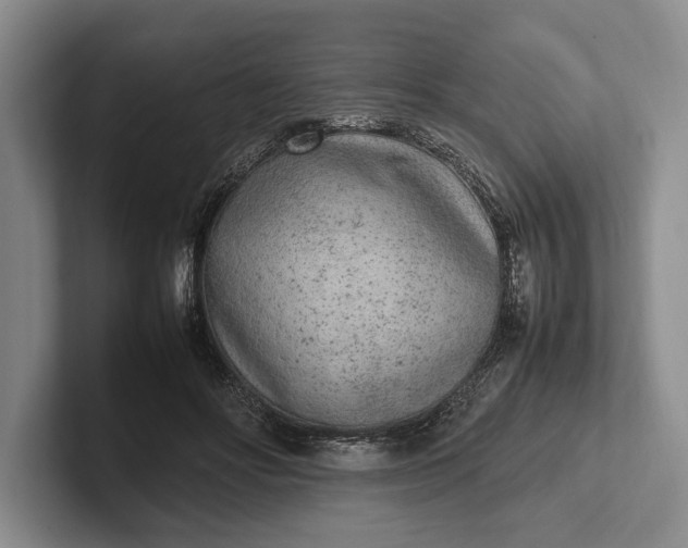 X0000102270502200808081444