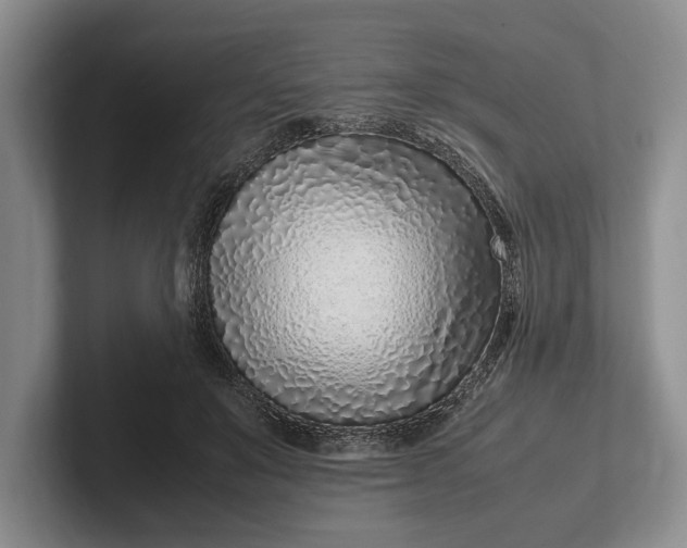 X0000102270503200808081444