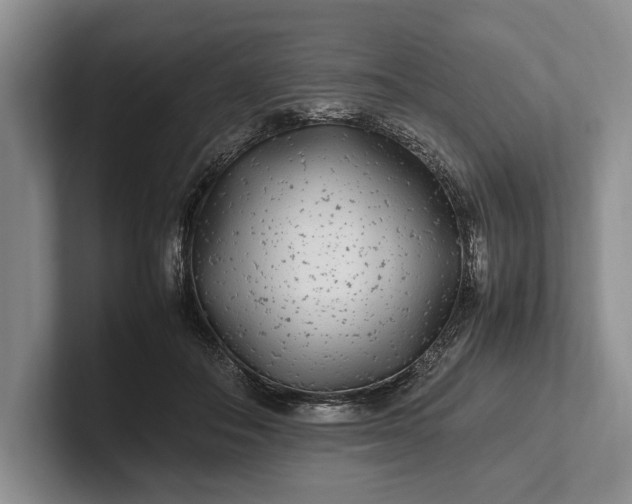 X0000102270506200808081443