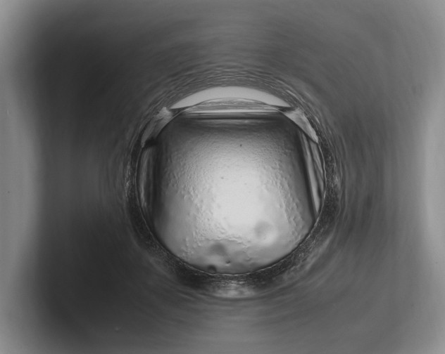 X0000102270507200808081443