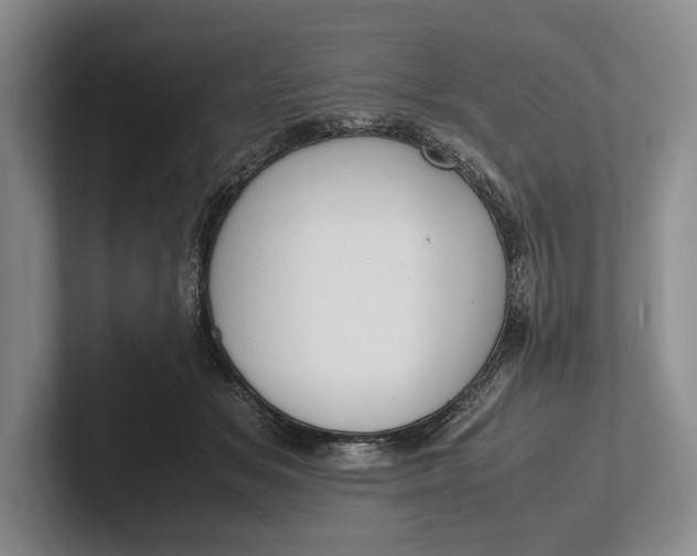 X0000102270509200808081443