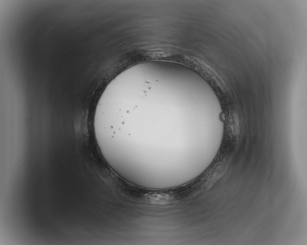 X0000102270512200808081443