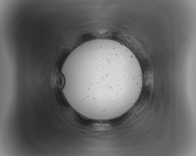 X0000102270515200808081443