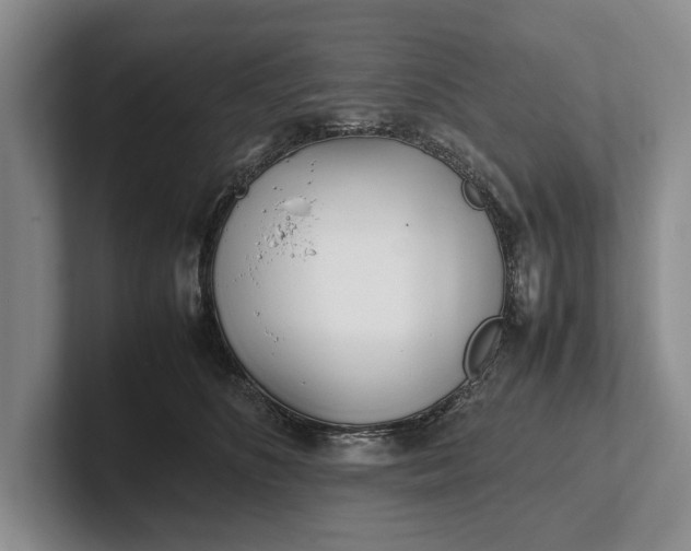 X0000102270516200808081443