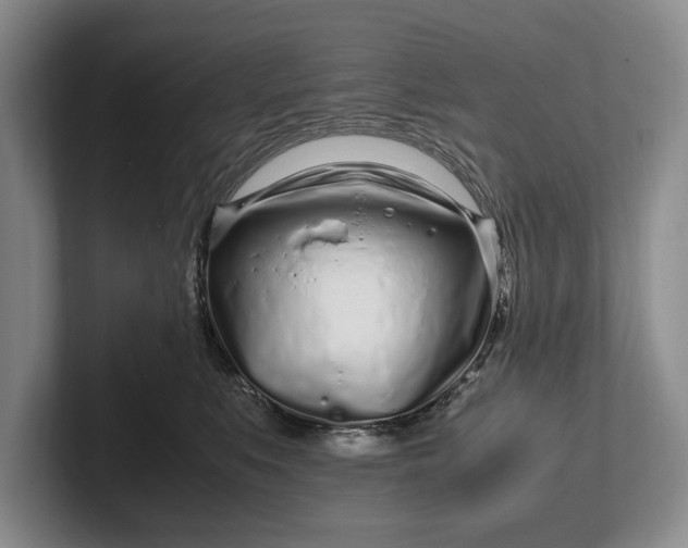 X0000102270519200808081443