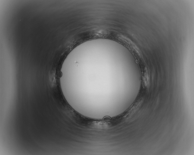 X0000102270520200808081443