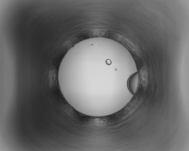 X0000102270522200808081443