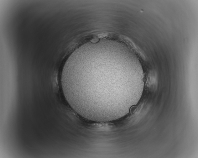 X0000102270524200808081443