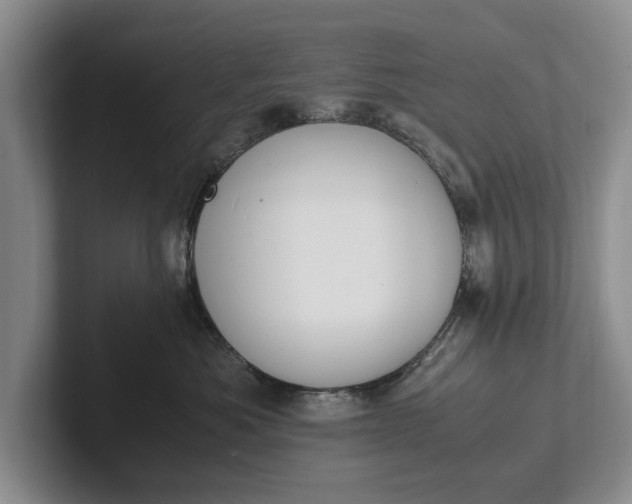 X0000102270525200808081443