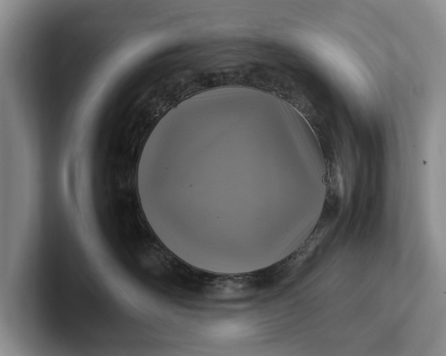 X0000102270526200808081443