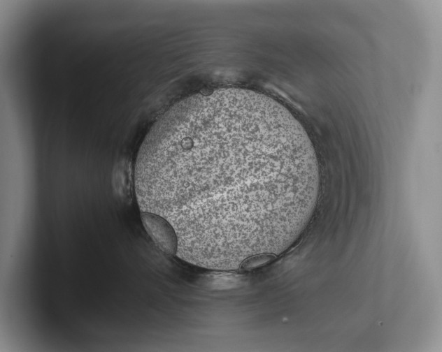 X0000102270528200808081443