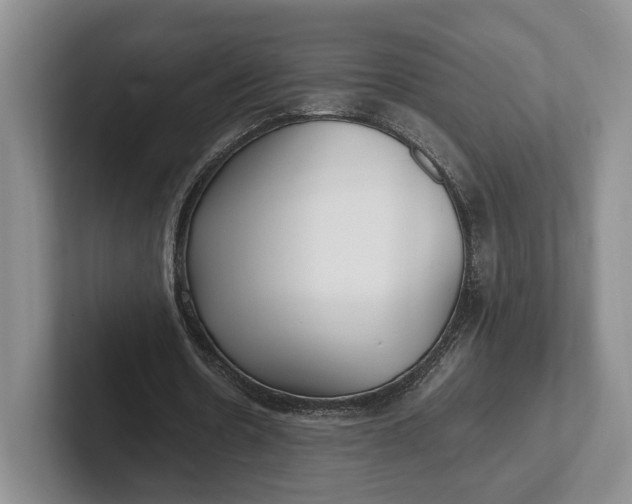 X0000102270530200808081442