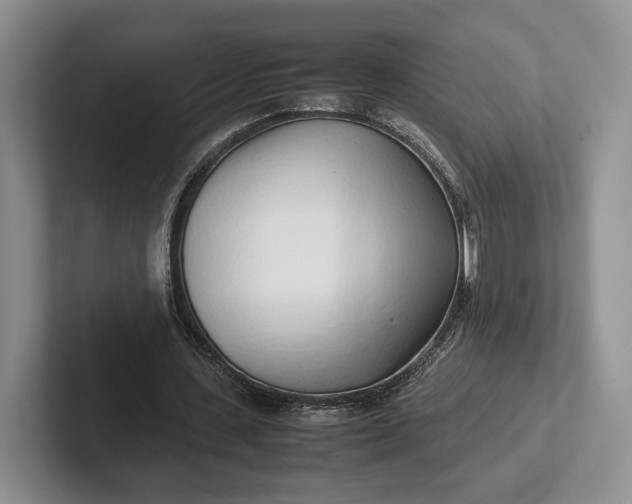 X0000102270531200808081443