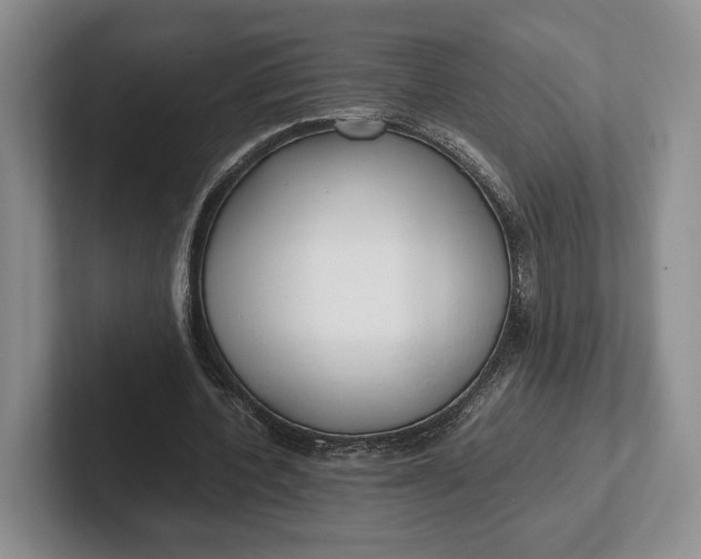 X0000102270532200808081443