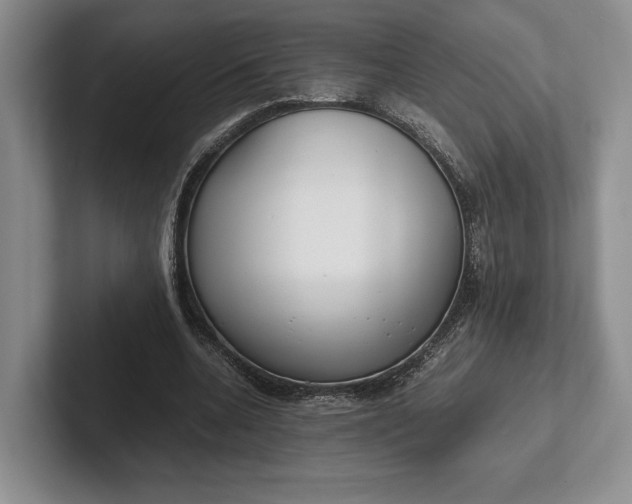 X0000102270536200808081443