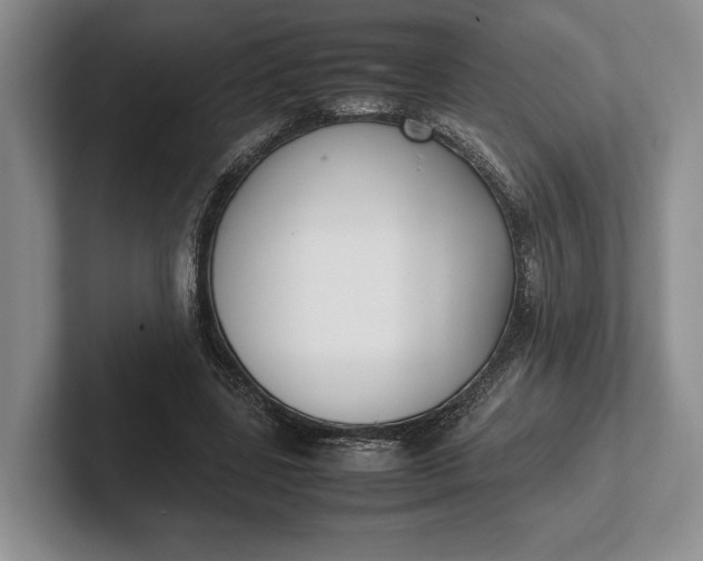 X0000102270539200808081443