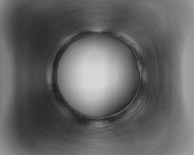 X0000102270540200808081443