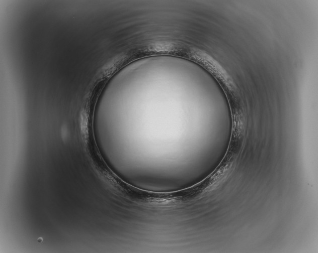 X0000102270542200808081443