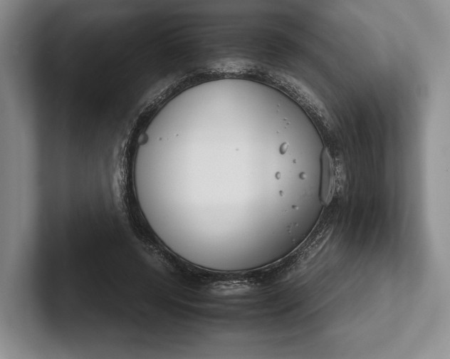 X0000102270544200808081443