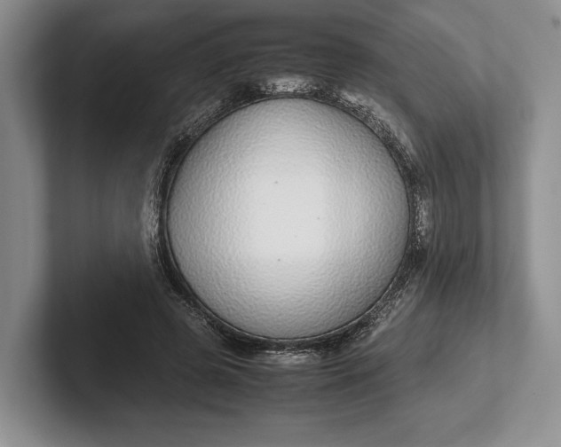 X0000102270545200808081443