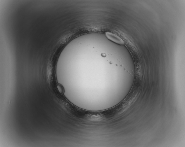 X0000102270548200808081443