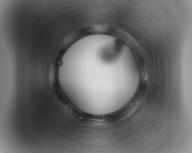 X0000102270552200808081443