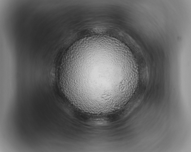 X0000102270553200808081443