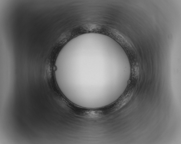 X0000102270558200808081443