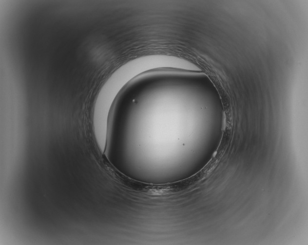 X0000102270560200808081443