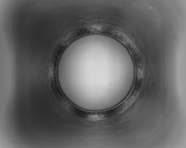 X0000102270561200808081443