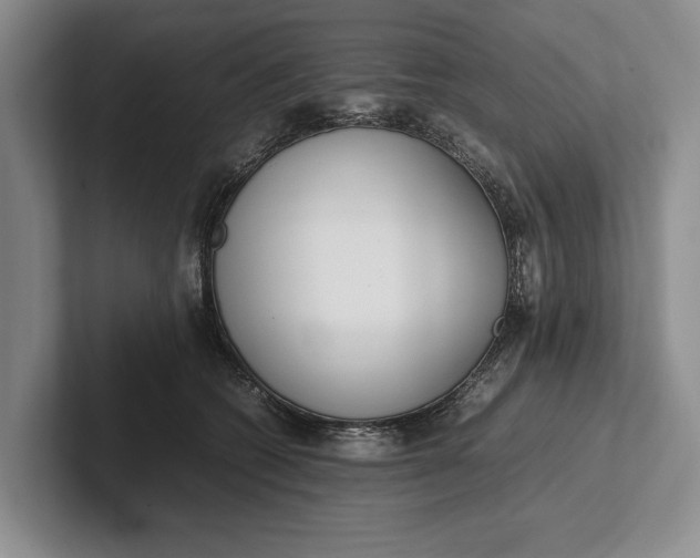 X0000102270562200808081443