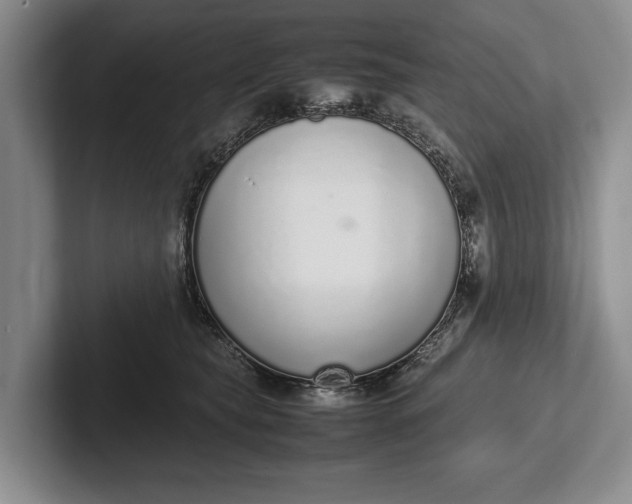 X0000102270565200808081443