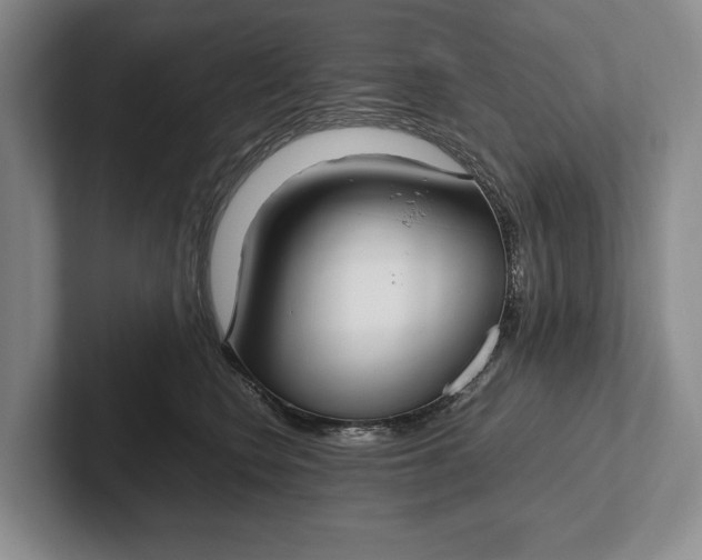 X0000102270566200808081443